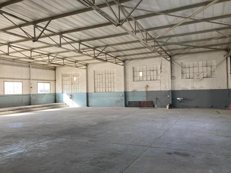 To Let Commercial Property for Rent in North End Eastern Cape